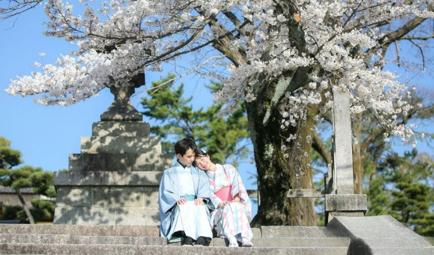 Japan Tour Service